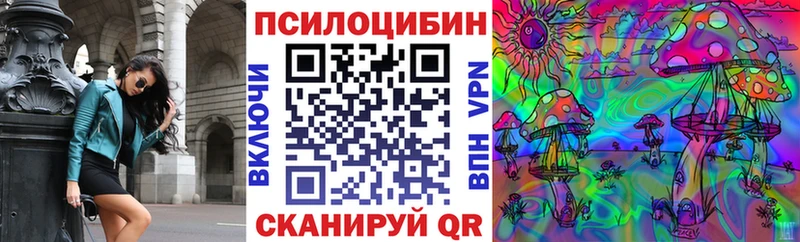 Псилоцибиновые грибы Cubensis  где найти наркотики  Шебекино 